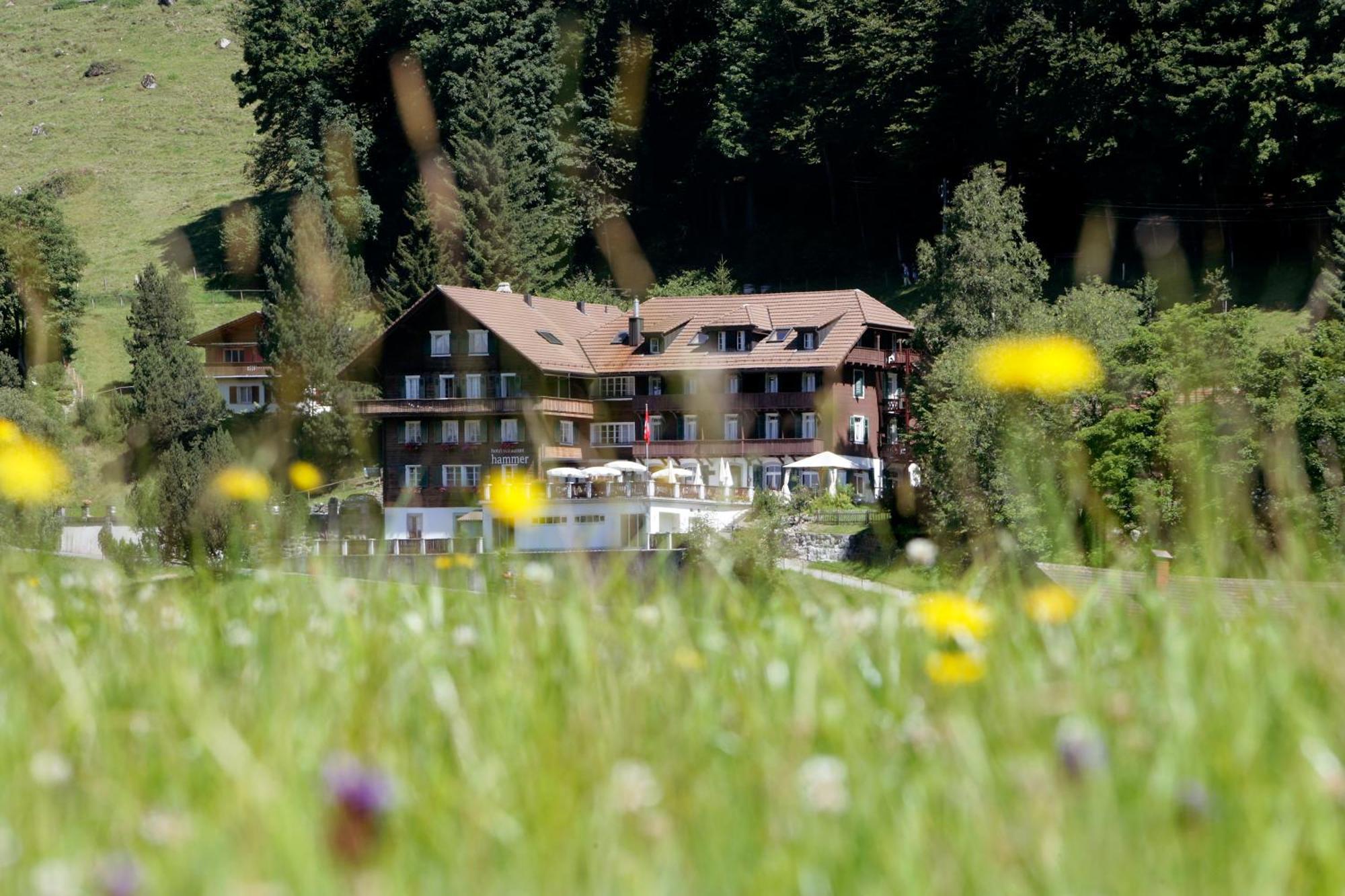 Hotel Restaurant Hammer Eigenthal Dış mekan fotoğraf